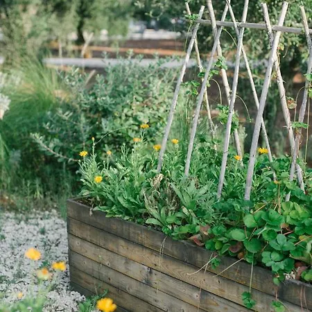 Fikus - The Apulian Bed & Breakfast Ceglie Messapica