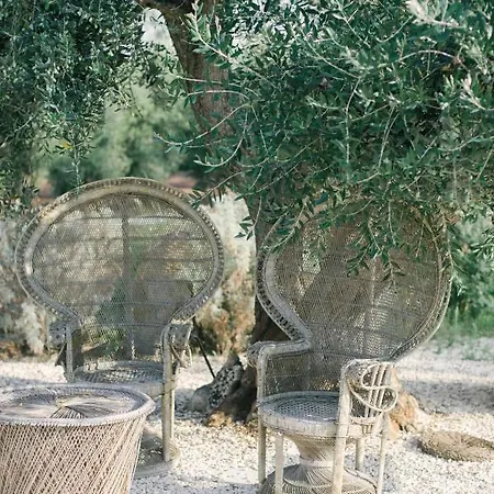 Bed & Breakfast Fikus - The Apulian