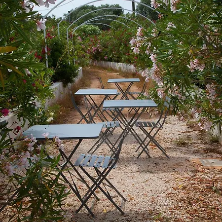 Bed & Breakfast Fikus - The Apulian 3*