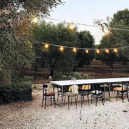 Alojamento de Acomodação e Pequeno-almoço Fikus - The Apulian Ceglie Messapica