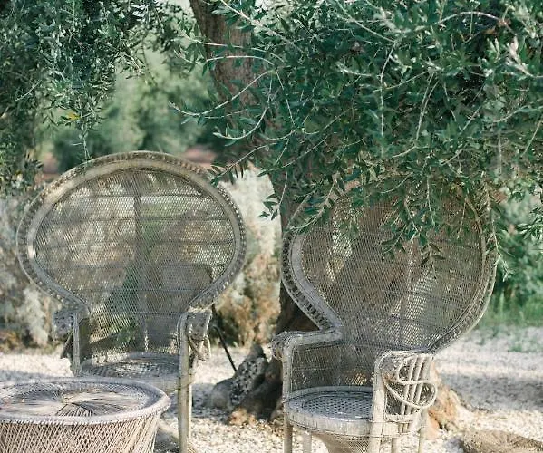 Bed & Breakfast Fikus - The Apulian